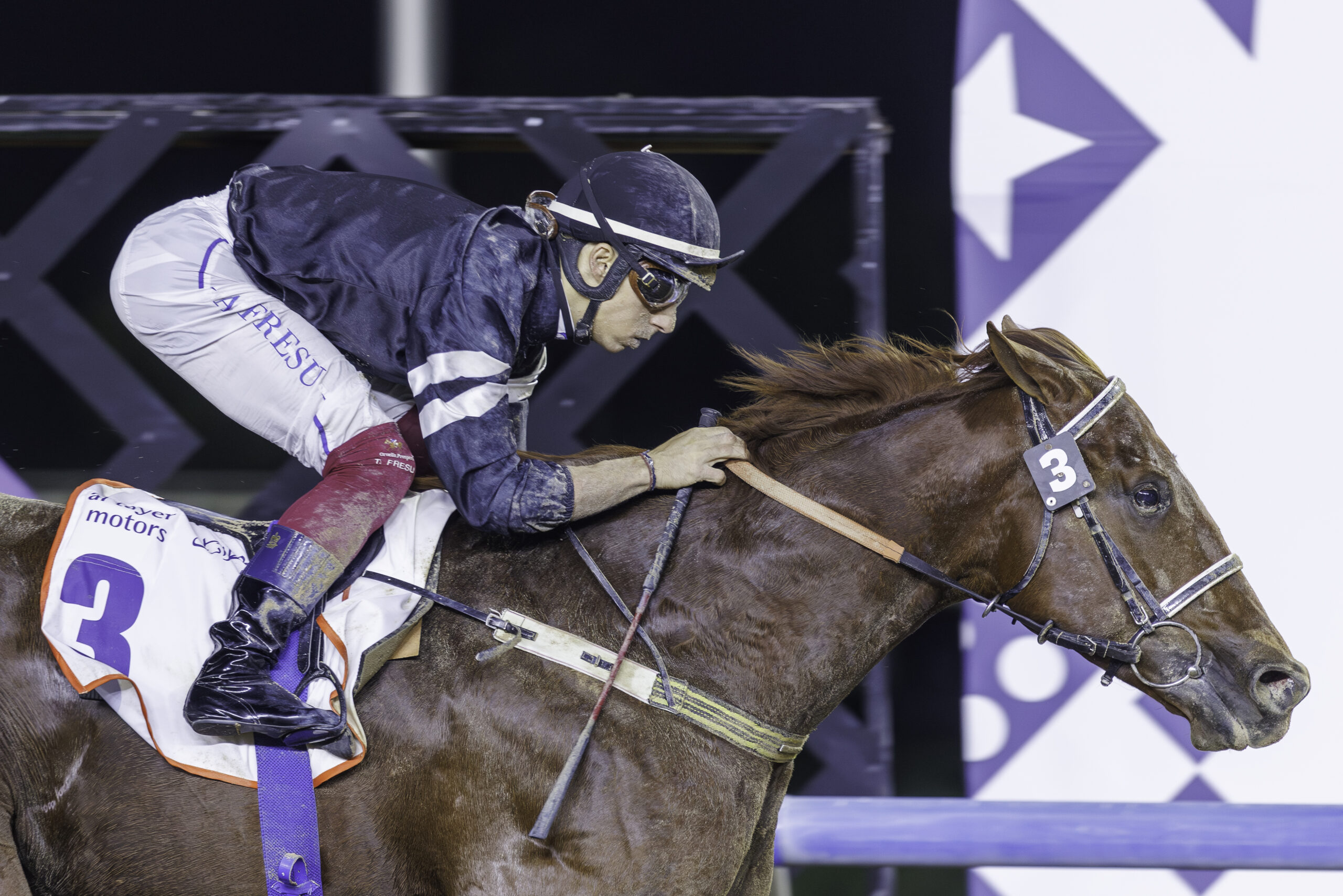 El Nasseeb wins the Listed Al Garhoud Sprint
