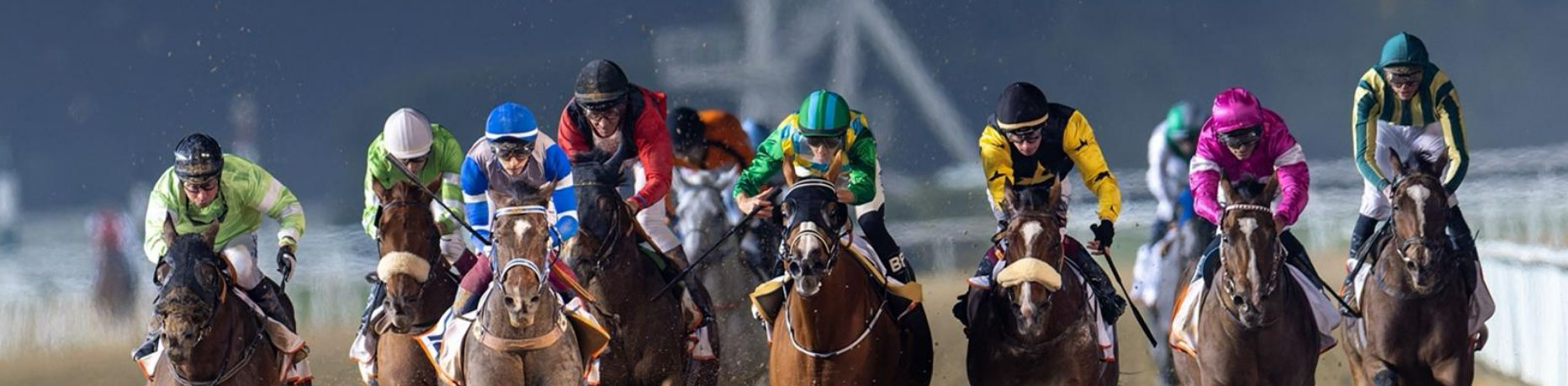 Jockeys racing in vibrant colored silks