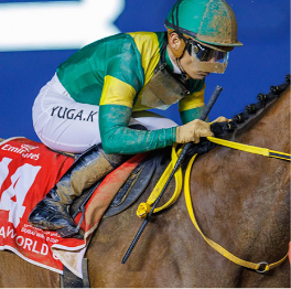 Jockey racing in World Cup silks