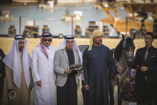 مربط دبي يحصد 4 ألقاب وثلاثية لمربط عجمان في (كتارا للخيل العربية)