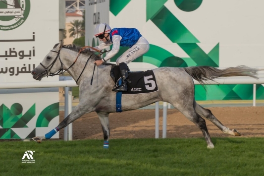 هيروز دي لاغارد يتوج بلقب بطولة الإمارات للخيول العربية بمضمار أبوظبي