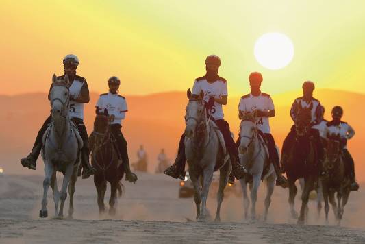 UAE READY TO TAKE ON WORLD’S BEST AT ENDURANCE CHAMPIONSHIPS
