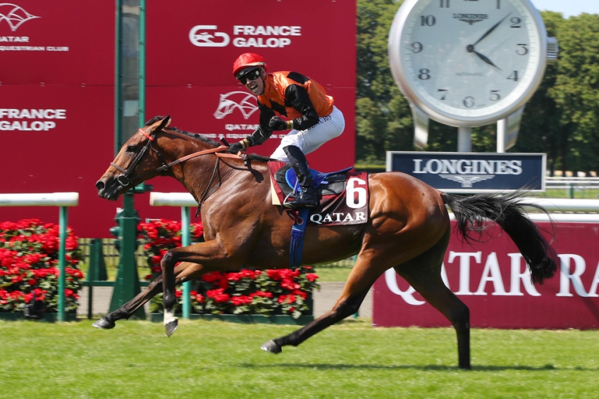 French Ace fancied to make a deep Impact in Arc