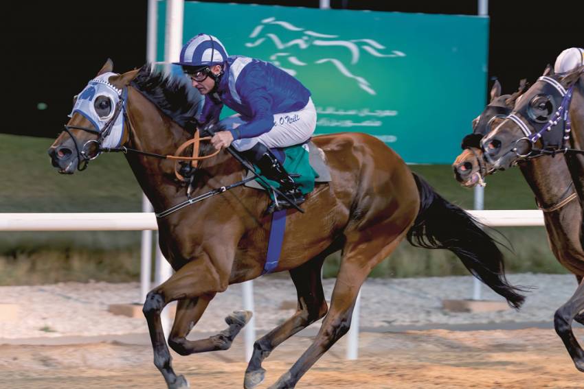 TRAINERS THE FOCUS AT AL AIN THIS FRIDAY