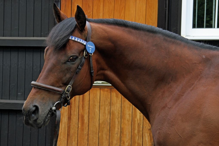 FRANKEL AND DUBAWI FEATURE IN FASCINATING NEW INSIGHT