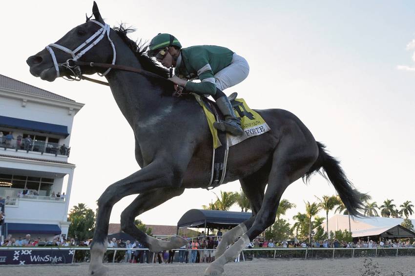 COUNTRY GRAMMER, FORTE SETTING PACE FOR AMERICA DUBAI DOUBLE POSSIBLE