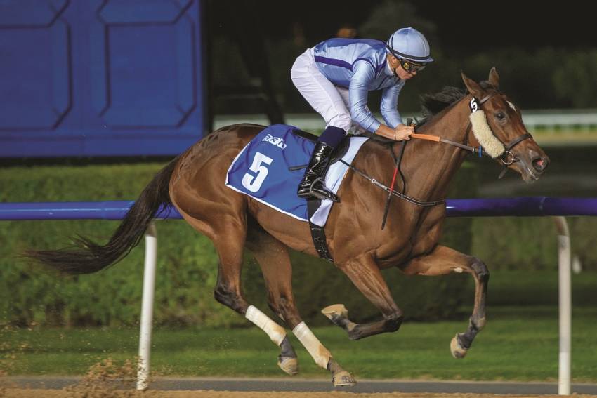 MIMI, BEST FILLY I HAVE TRAINED: BIN GHADAYER