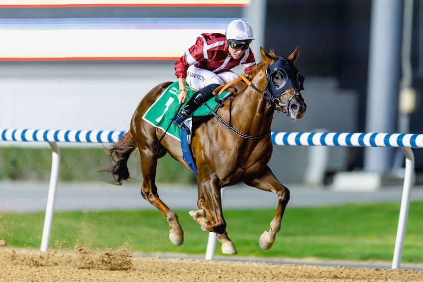 MAGIC PETITION POISED TO PROVE AN EMIRATES SPRINT SERIES SUPERSUB