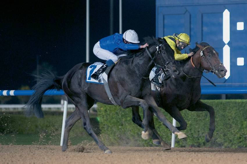 BUICK STARS IN FEATURE AS ROMANCE BLOSSOMS FOR APPLEBY IN DOHA