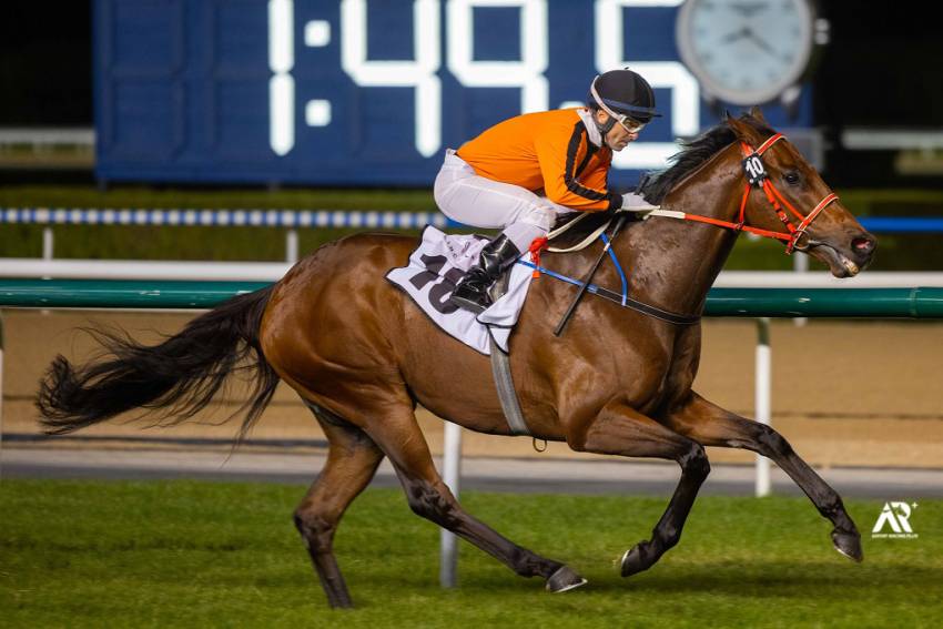 Herholdt returns to winning enclosure in UAE after 20 years with a double