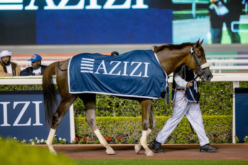 AZIZI TO SPONSOR LISTED ACTION AT MEYDAN RACECOURSE ON FRIDAY