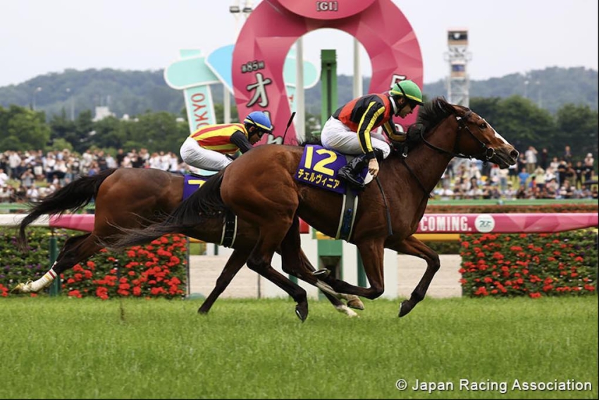 Oaks Cerved hot for Kimura and Lemaire 
