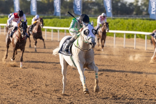 Ffrench excels aboard Hadad to land Sharjah feature