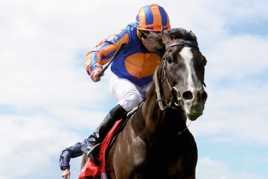 O’BRIEN’S DUAL DERBY HERO AUGUSTE RODIN THE ONE TO BEAT IN THE SHEEMA