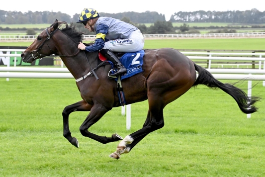 One Look, Deepone both brilliant for Twomey, Lee at The Curragh 