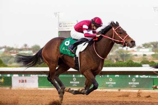 SAUDI HERO FOREVER YOUNG LOOKING TO BOOK KENTUCKY DERBY TICKET IN DUBAI