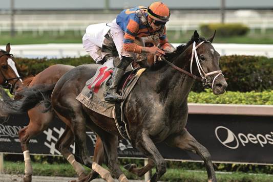 FLORIDA DERBY SENDS FORTE TO KENTUCKY WITH A FLOURISH