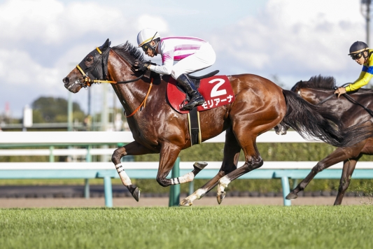 Moryana comes from the back to win Shion Stakes 