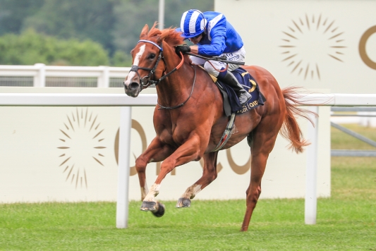 Shadwell’s Hampton Court champ Mohaafeth to stand at Govind Stud in India