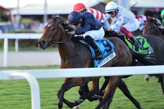 O’BRIEN FILLY IS ALL HEART TO LAND INVITATIONAL