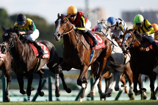 Not exactly a walk in the Park, but Rousham wins well at Nakayama
